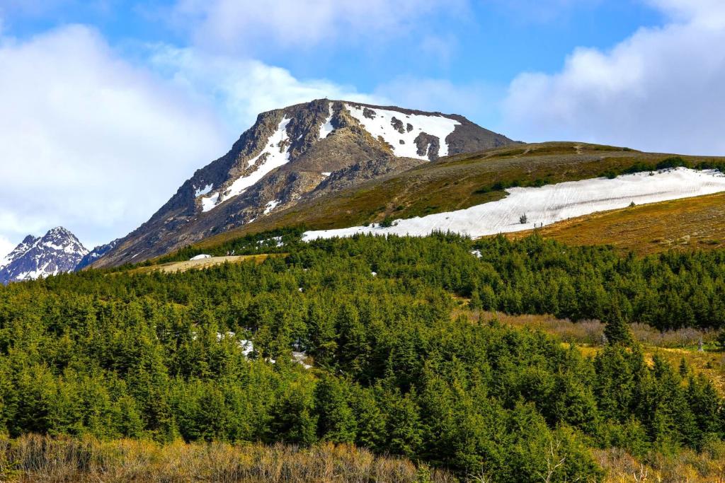Flattop Mountain