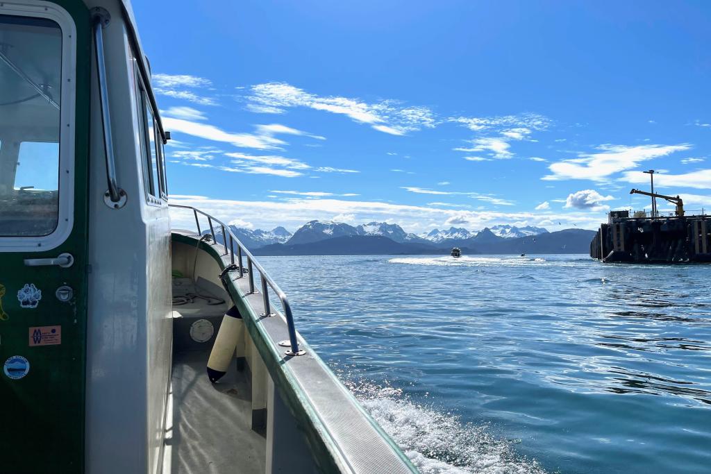 Homer Water Taxi