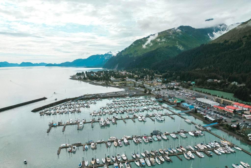 Aerial view of Seward