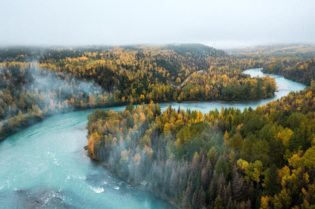 Kenai River in the fall