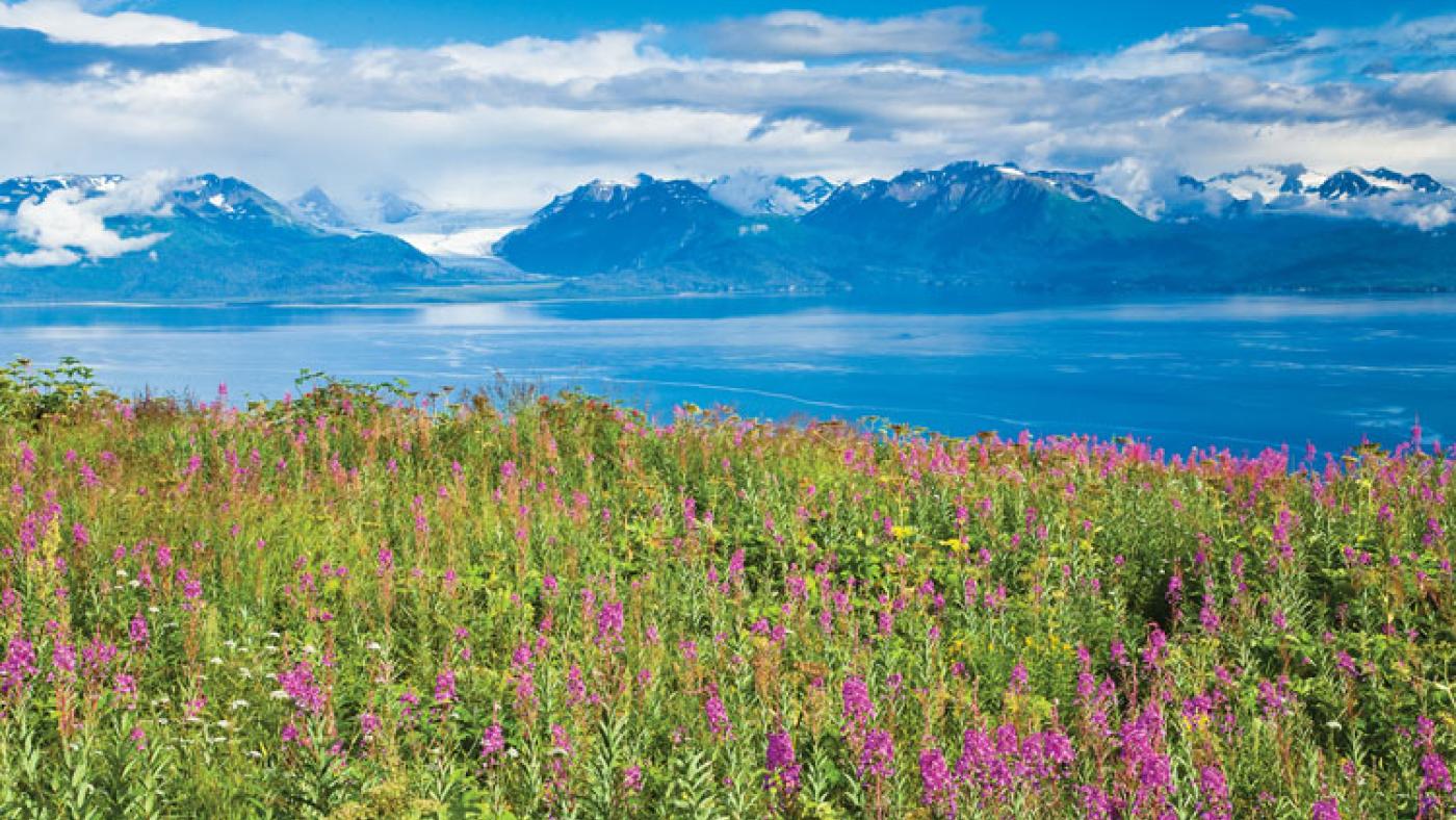 6 Things to Do in Homer, AK | Travel Alaska