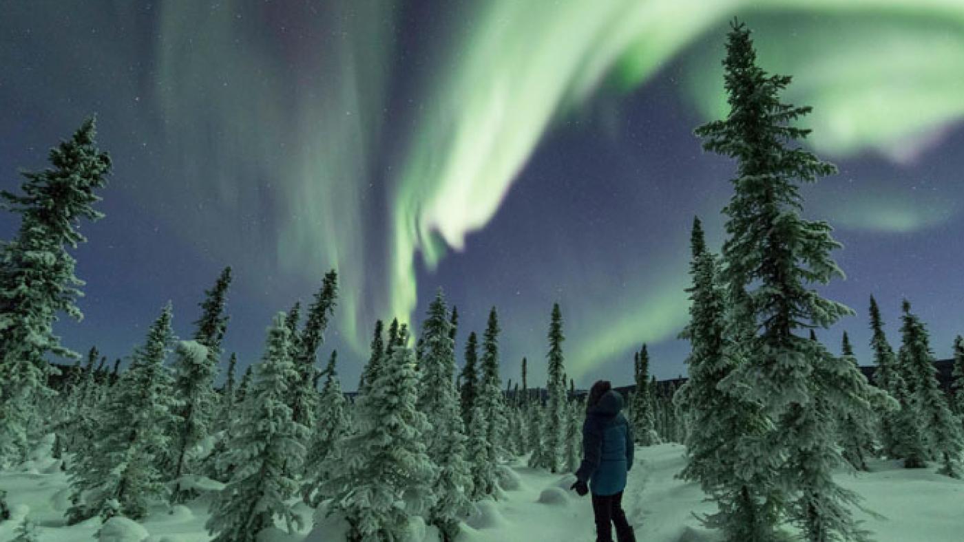 Unparalleled Winter Experiences in the Fairbanks Region