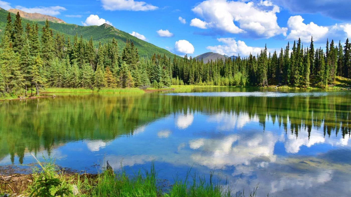 Things to Do near the Entrance to Denali National Park | Travel Alaska