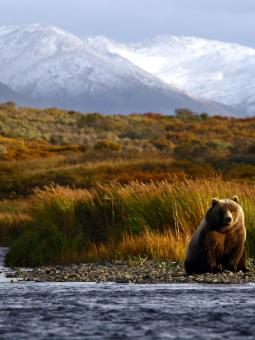 Kodiak National Wildlife Refuge Alaska