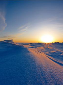 Arctic Coast Alaska Teaser