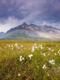 Brooks Range Alaska Teaser