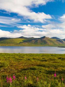 Western Arctic Alaska Teaser