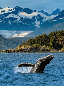 Superstock, Alamy Stock Photo