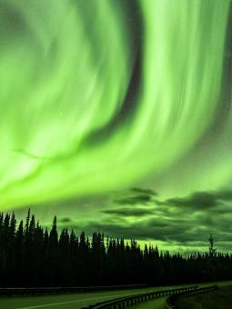Northern lights near Denali National Park