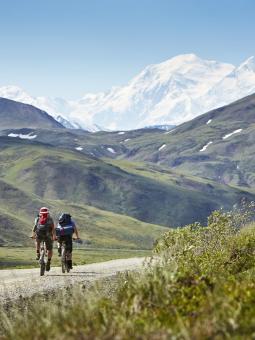 Biking the Denali Park Road