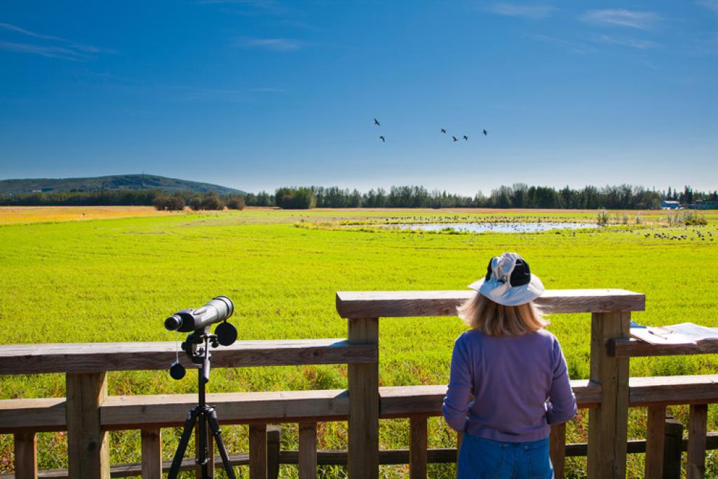 Creamers Field Migratory Waterfowl Refuge Alaska