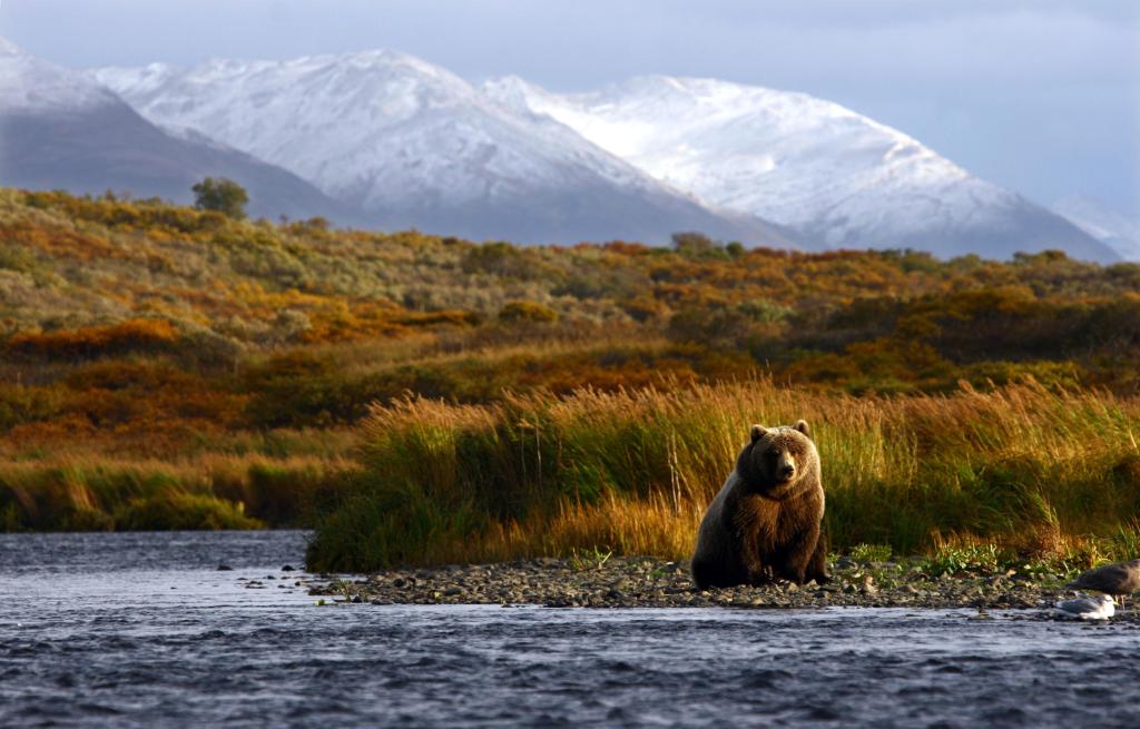 Kodiak National Wildlife Refuge Alaska