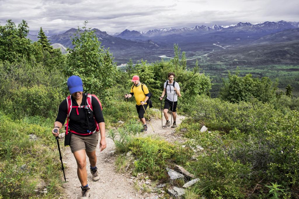 Hiking in Denali