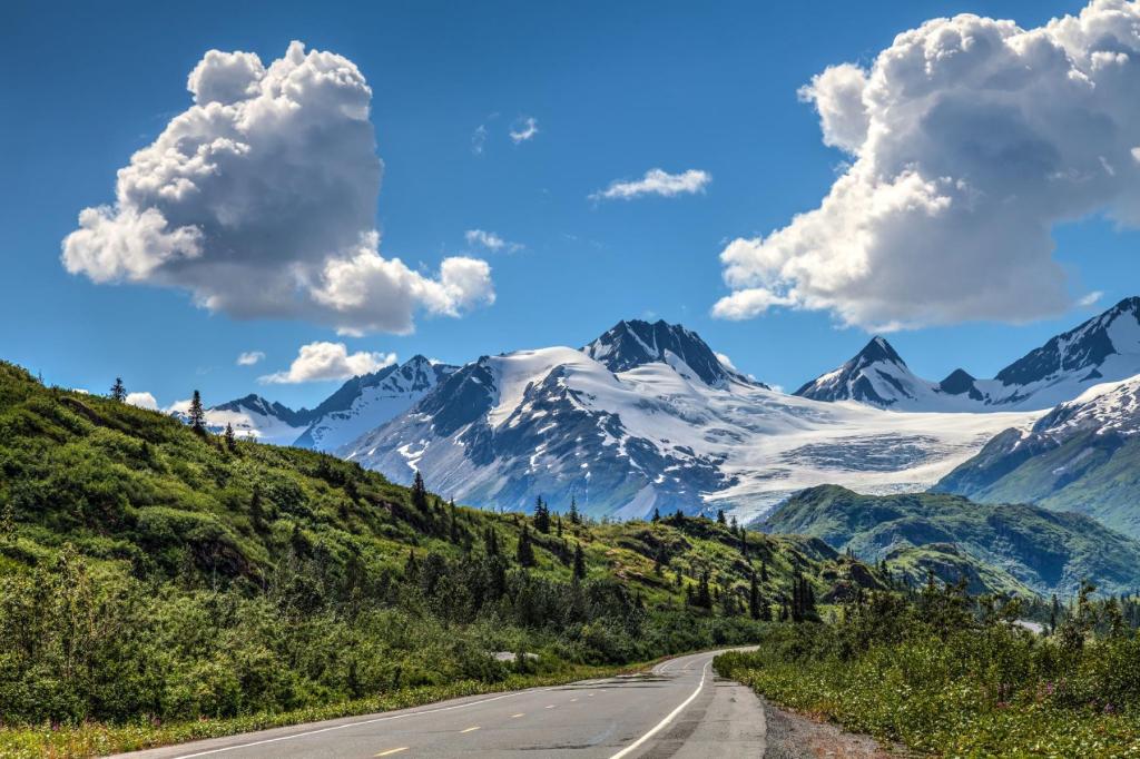Views along the RIchardson Highway