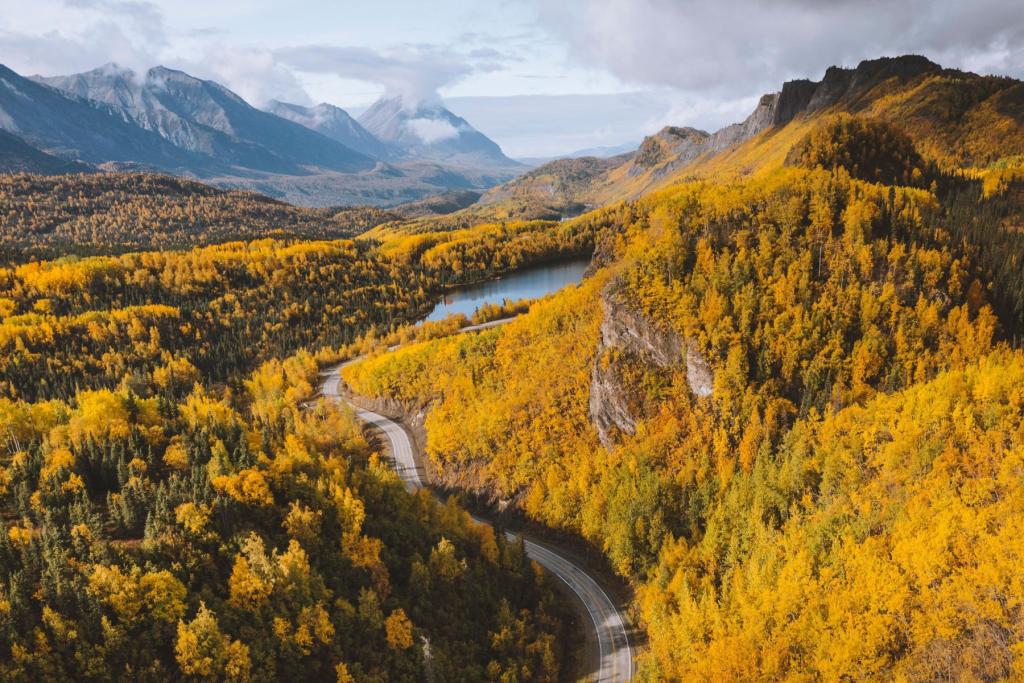 Fall colors on the Glenn Highway
