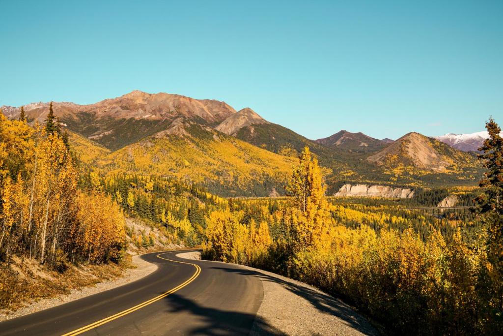 Fall colors in Denali National Park