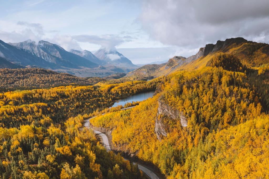 Fall colors on the Glenn Highway