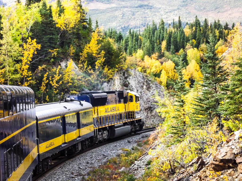 Train through Alaska's trees