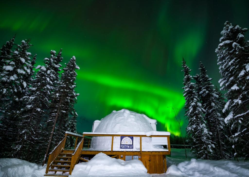 Pleasant Acres Igloo and Northern Lights