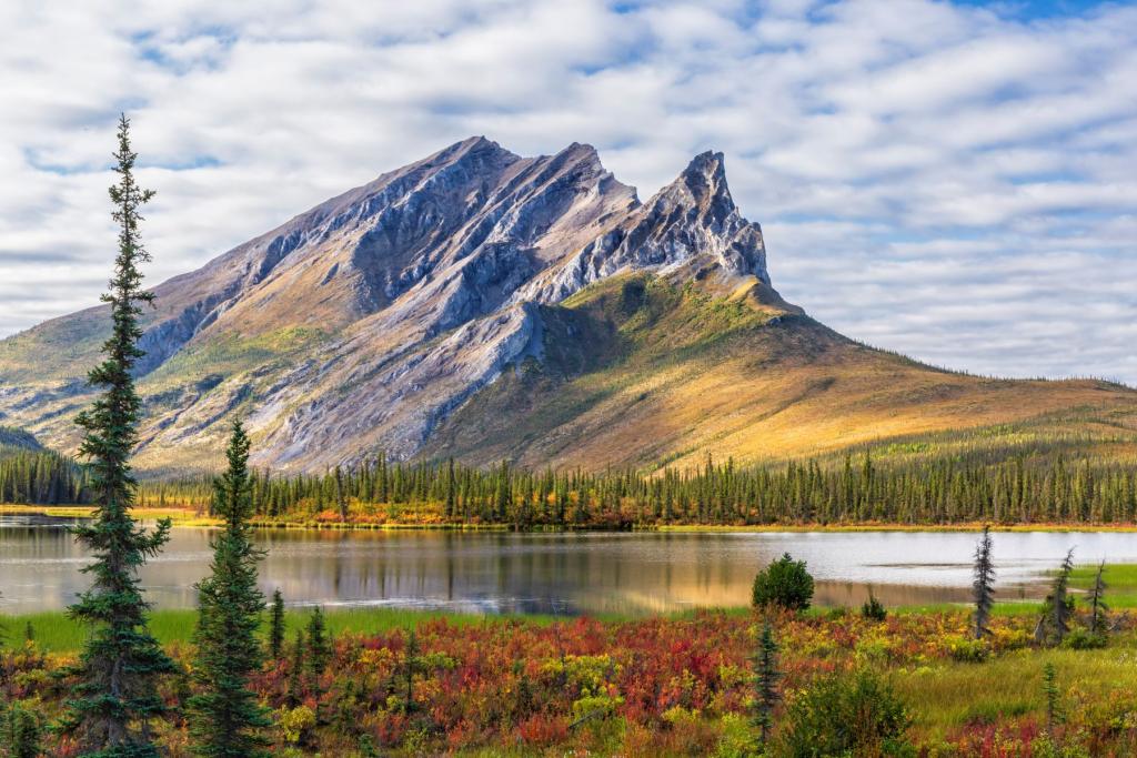 Fall Colors in the Brooks Range