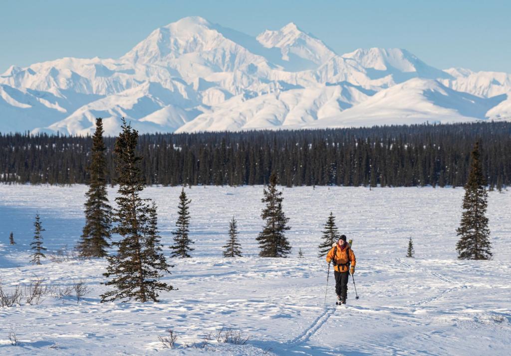 Cross country skiing near Denali National Park