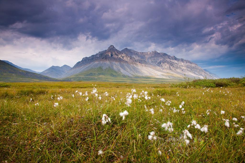Views of the Brooks Range from Anaktuvuk Pass in Gates of the Arctic