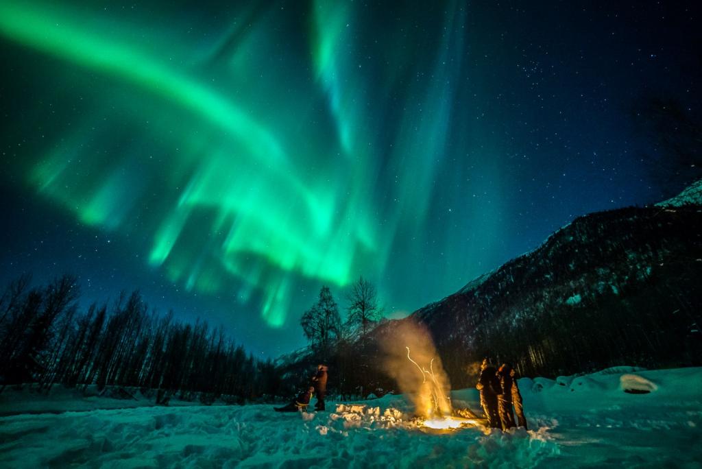 People viewing the Northern Lights near Anchorage