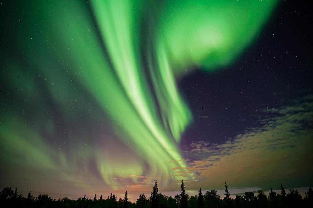 Northern lights and trees