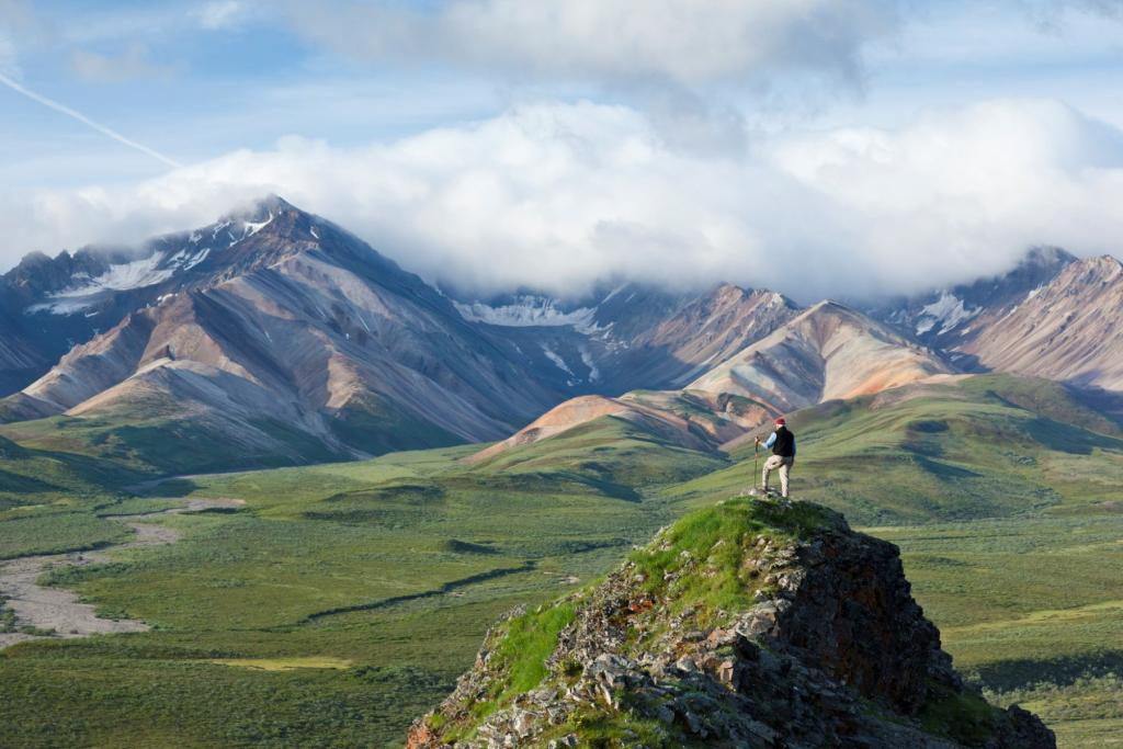 Hiking in Denali National Park