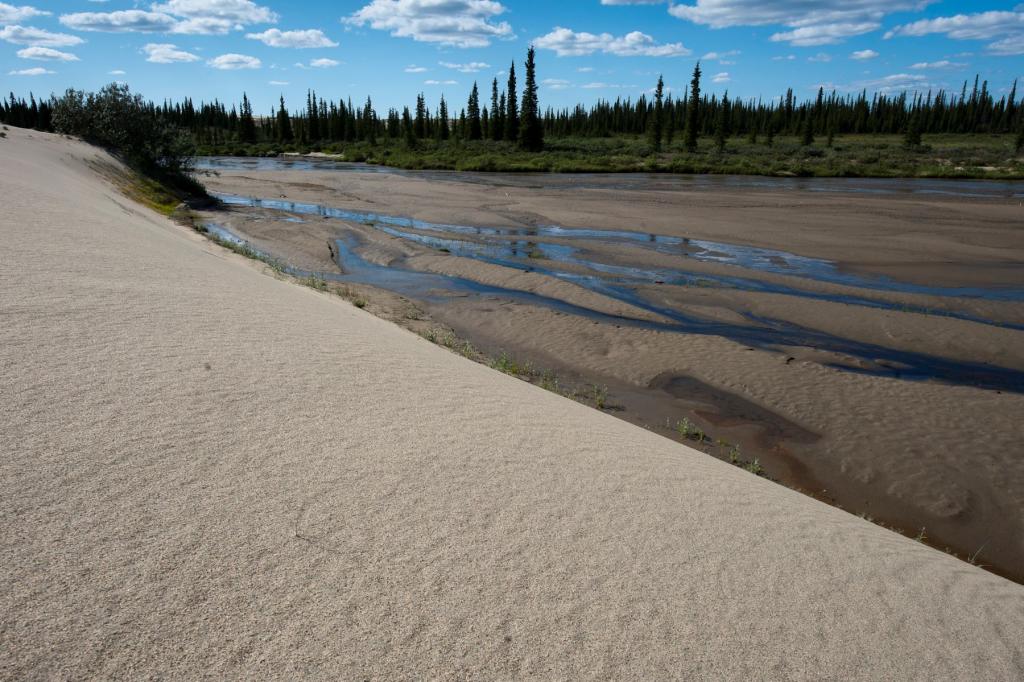 Great Kobuk Sand Dunes