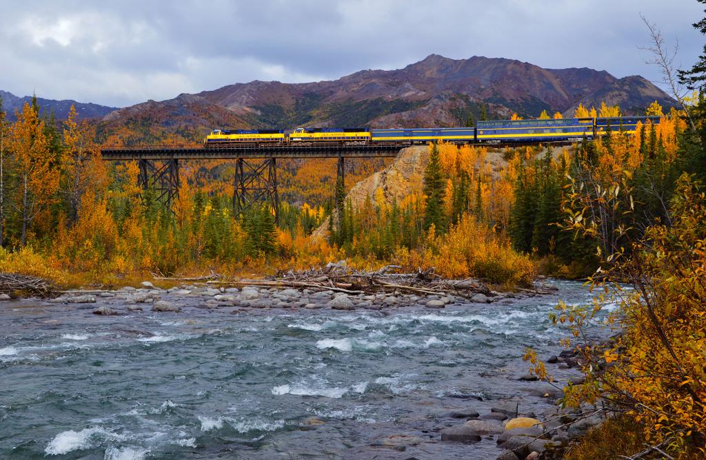 Alaska Railroad's Denali Star train crosses a bidge high above a river. A mix of evergreen trees and fall foliage cover the riverbank and mountains in the background.
