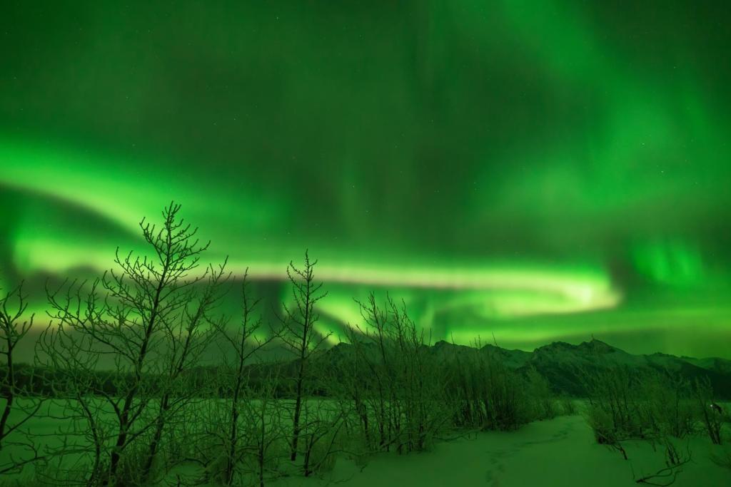 Northern lights near Anchorage