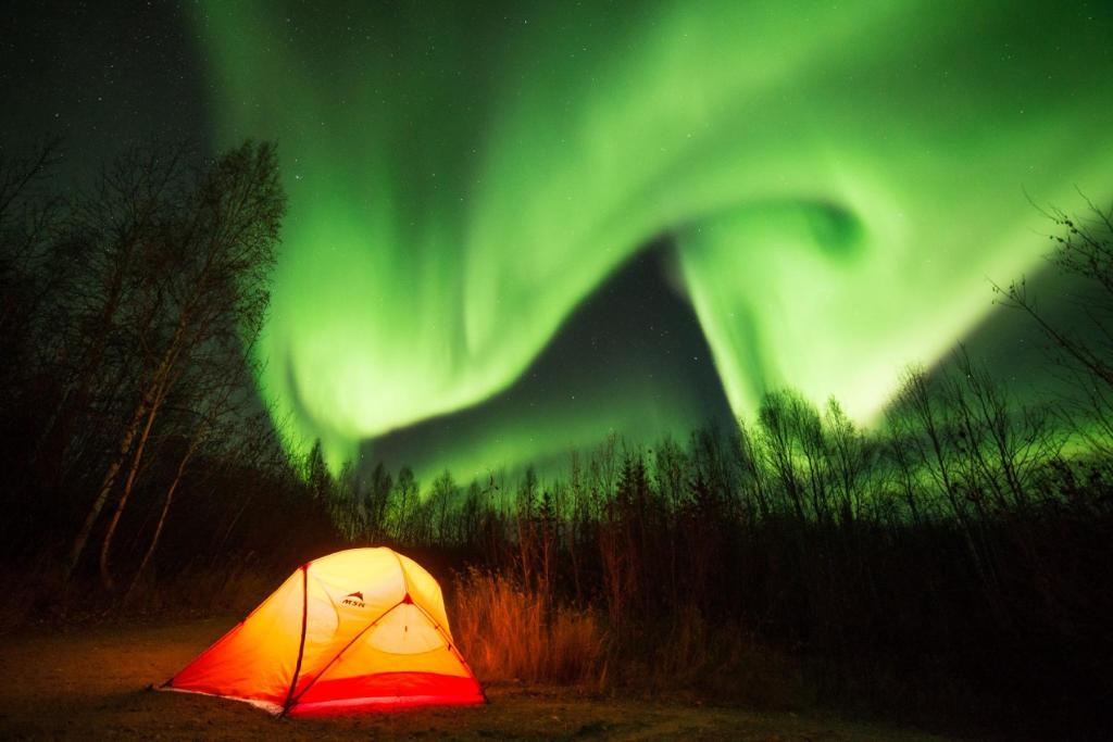 Northern lights over a tent in the fall