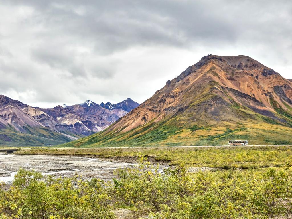 Bus tour in Denali National Park