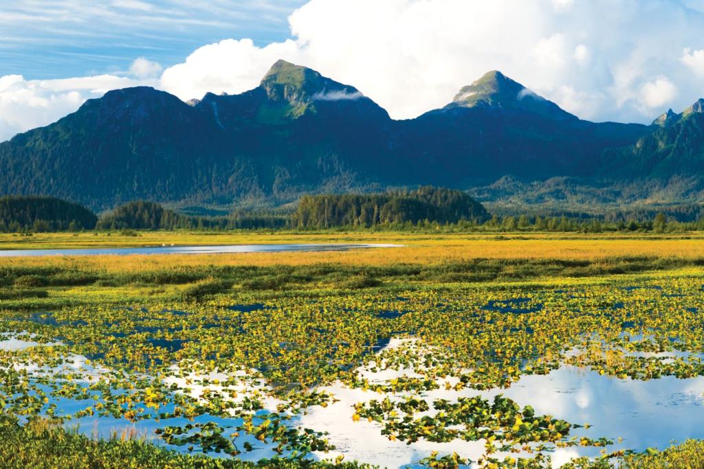 Copper River Delta near Cordova