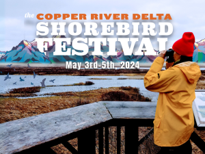Copper River Delta Shorebird Festival Photo