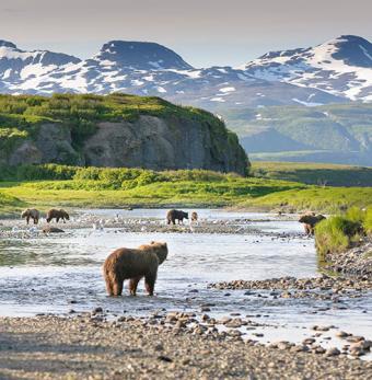 Alaskan Landscape Photo