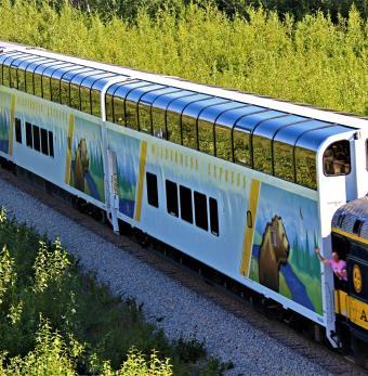 Wilderness Express Rail Photo