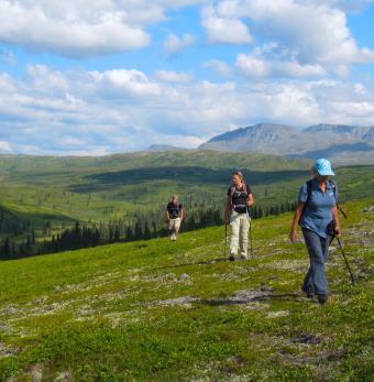Caribou Lodge Alaska Photo