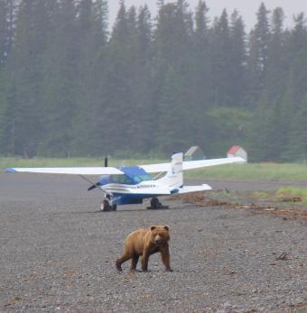 Alaska Air Service Photo