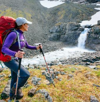 Alaska Alpine Adventures Photo