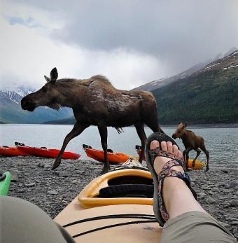 Lifetime Adventures Photo