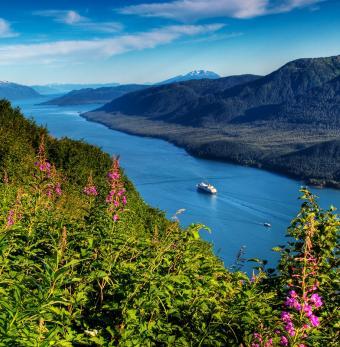 Alaska Tour & Travel Photo