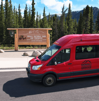 Denali in a Day Tour Photo