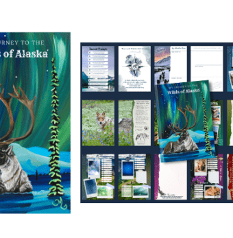 Adventure begins here, The Wilds of Alaska Travel Journal, your keepsake of northern skies and wild places. Photo