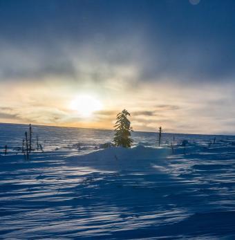 Magical light of winter in Alaska's Arctic Photo