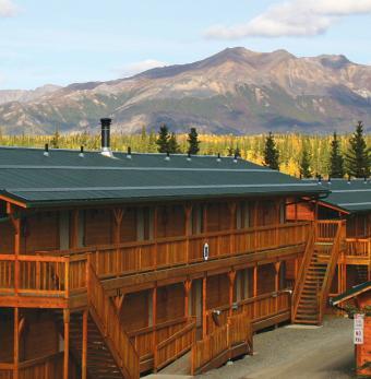 Denali Grizzly Bear Resort Photo