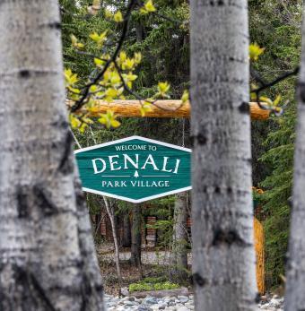 Denali Park Village Photo