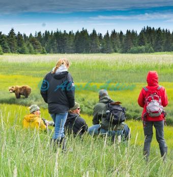 Alaska Active Travel Photo