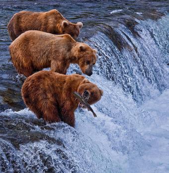 Gondwana Ecotours Photo